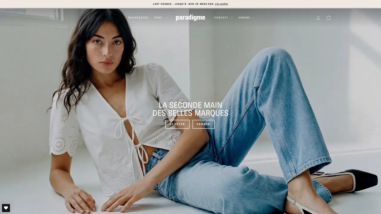Aperçu du site Paradigme