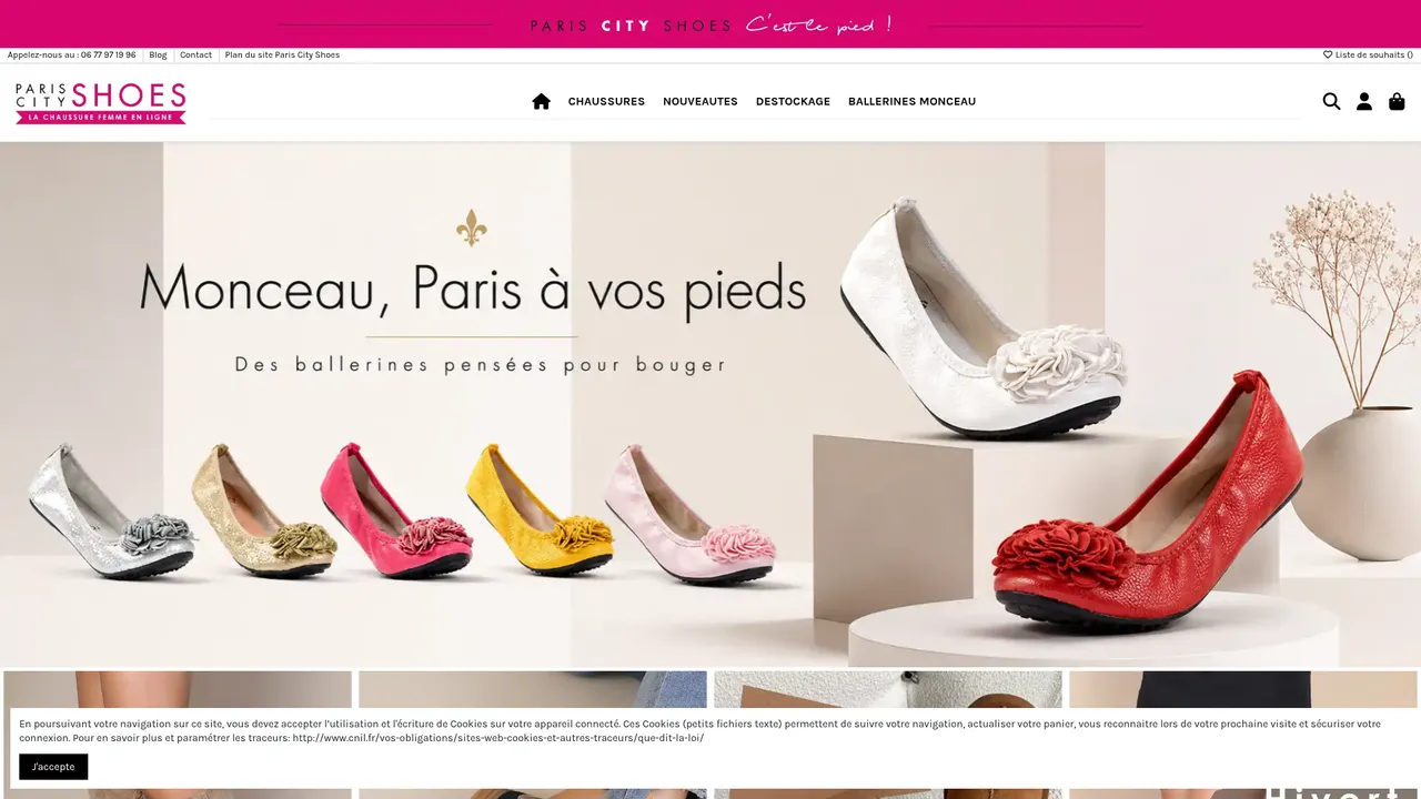 Aperçu du site Paris City Shoes