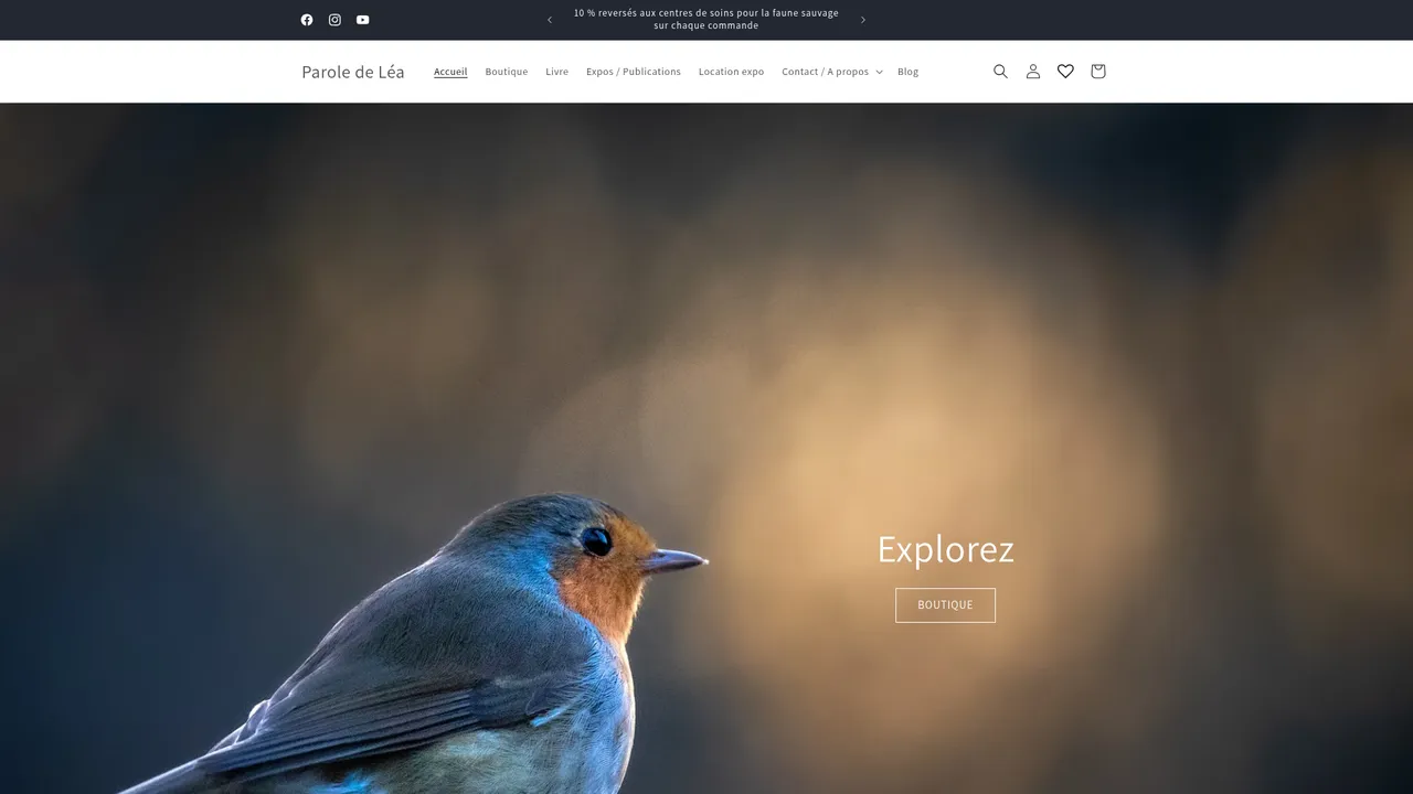 Screenshot de paroledelea.com