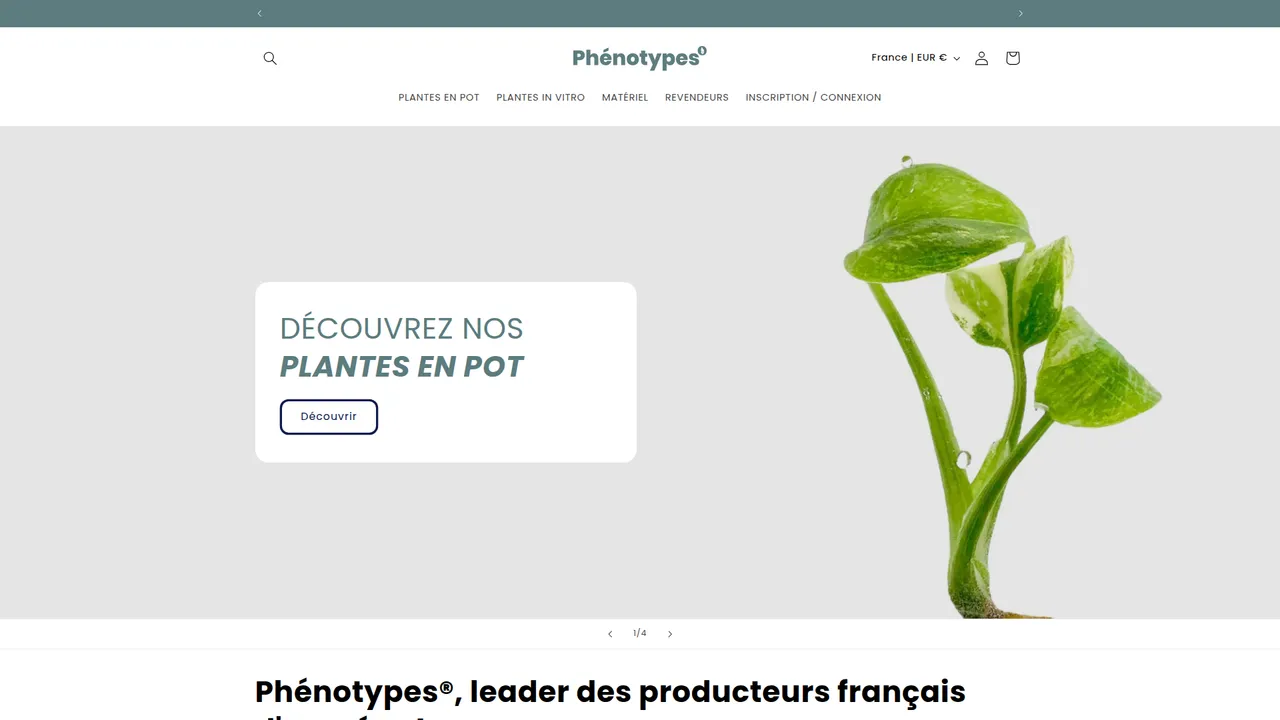 Aperçu du site Phénotypes