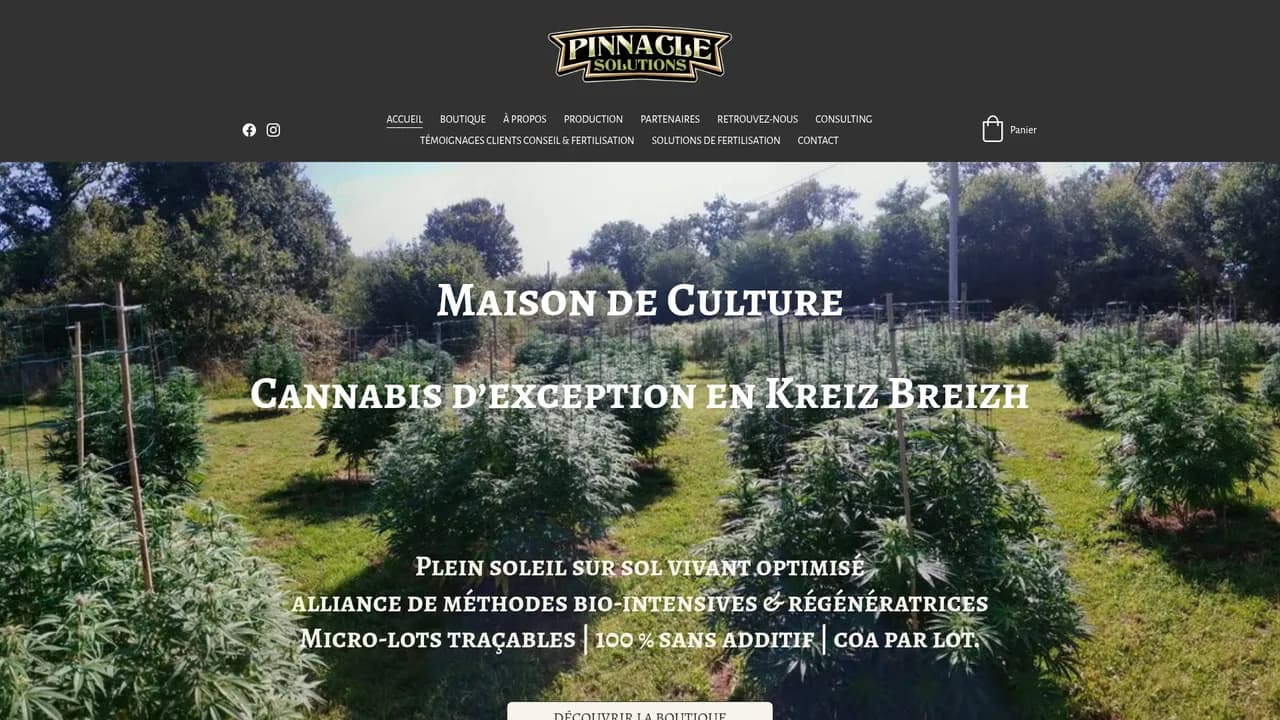 Screenshot de pinnaclesolutions.bio