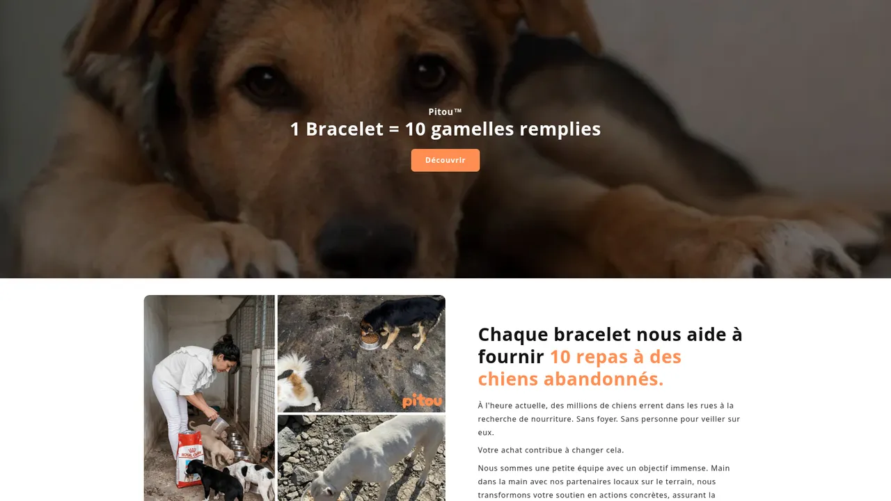 Aperçu du site Pitou