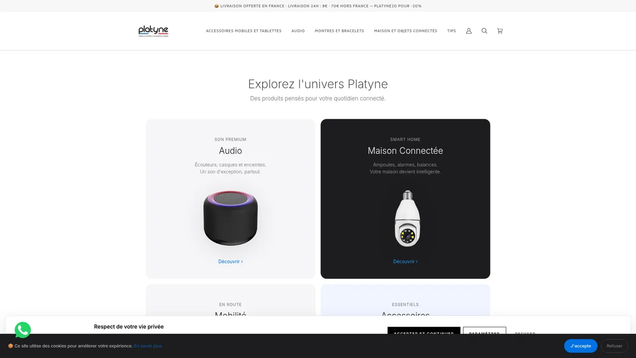 Aperçu du site platyne.com