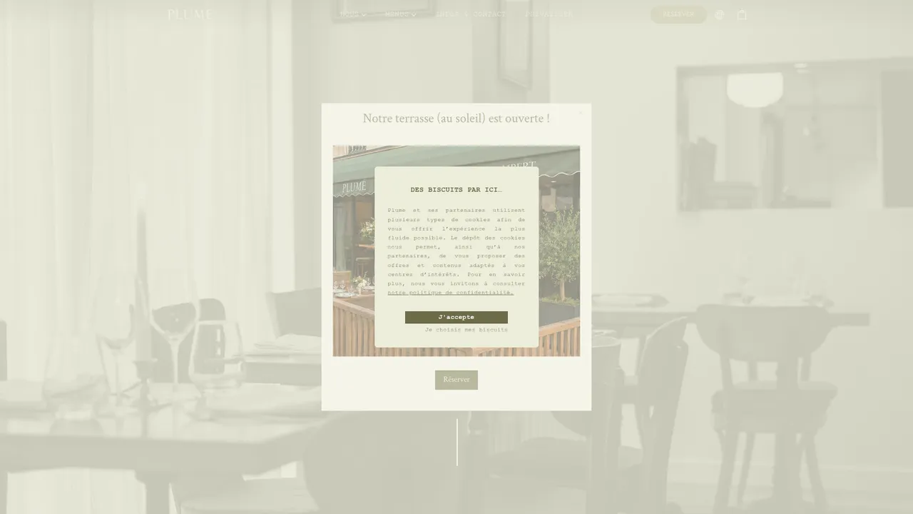 Aperçu du site Plume