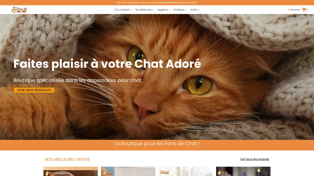 Aperçu du site Pour toi mon chat