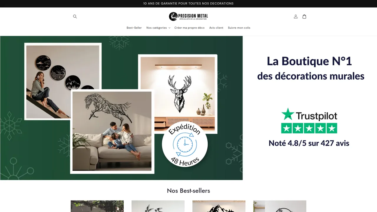 Aperçu du site Precision Metal