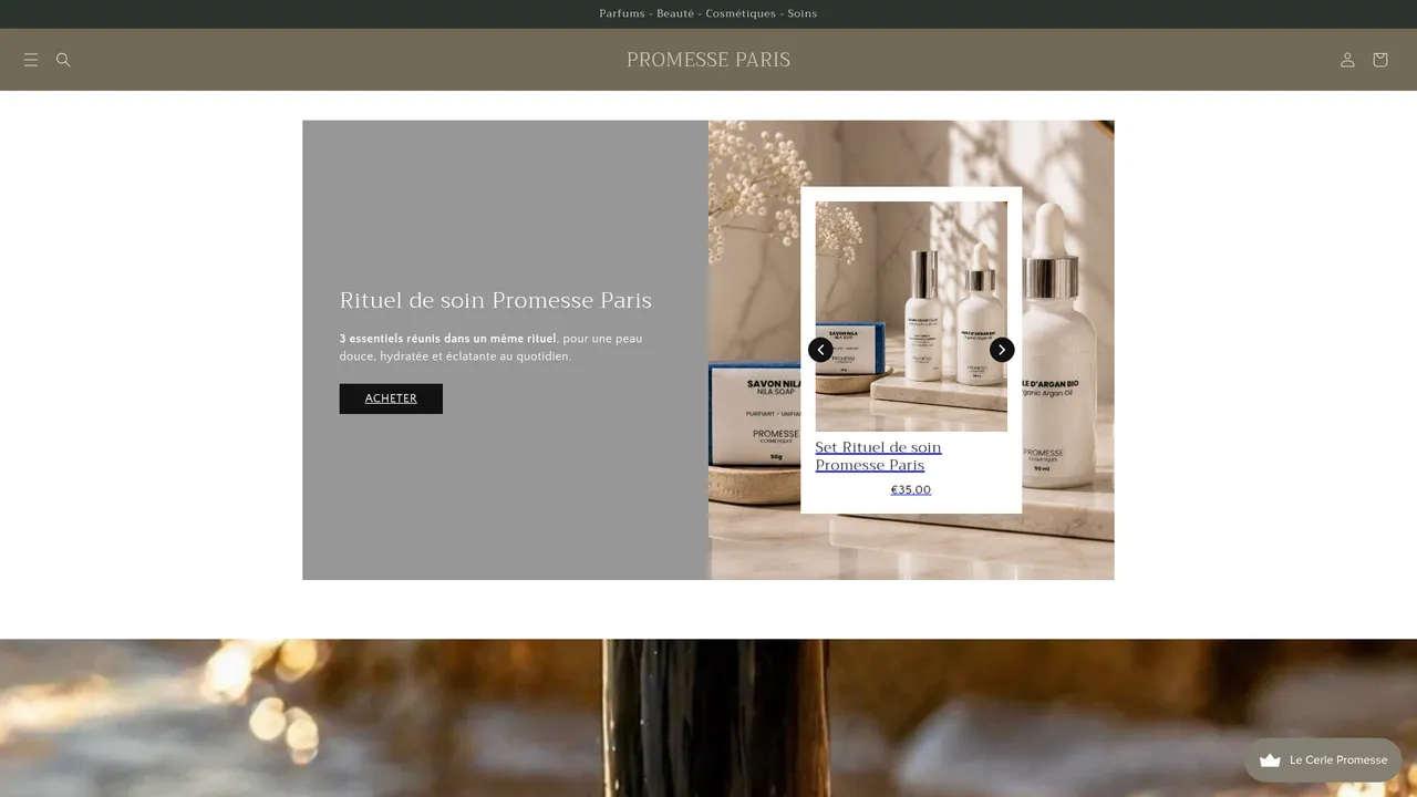 Aperçu du site PROMESSE PARIS