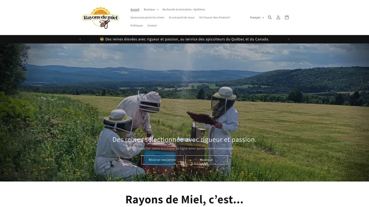 Aperçu du site rayonsdemiel.com