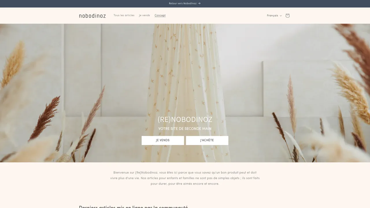 Aperçu du site (re)Nobodinoz