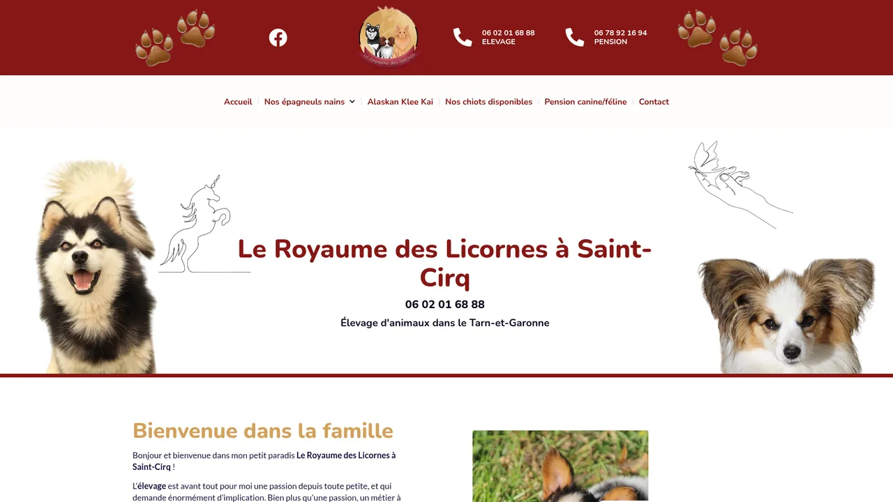 Screenshot de Royaume des licornes