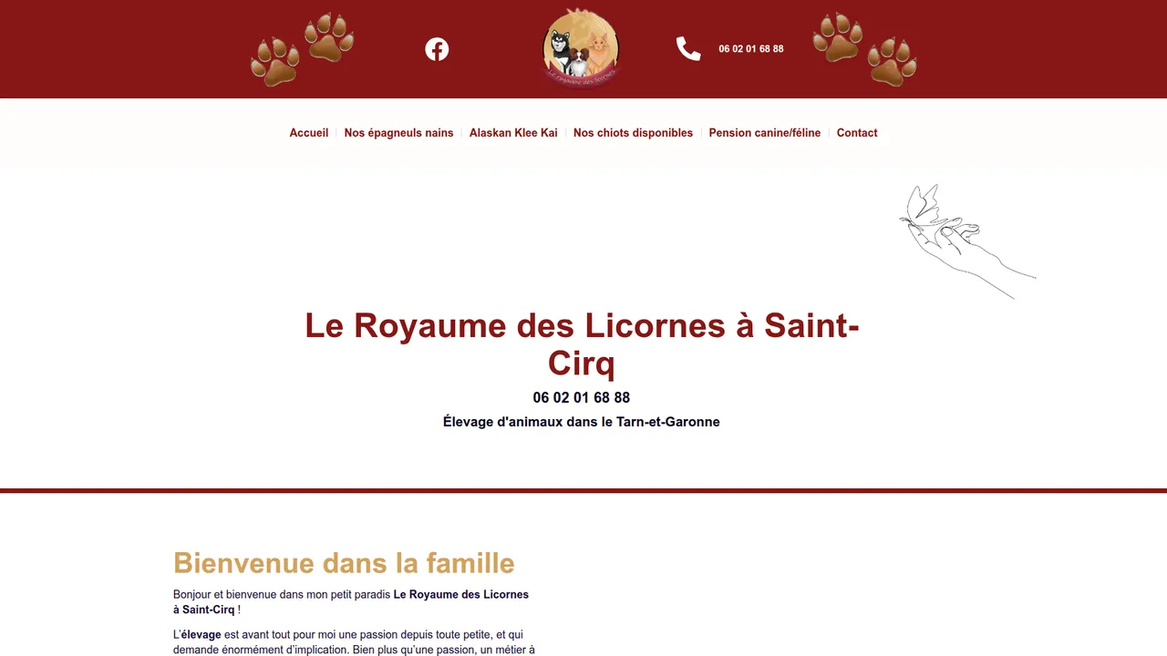Aperçu du site Royaume des licornes