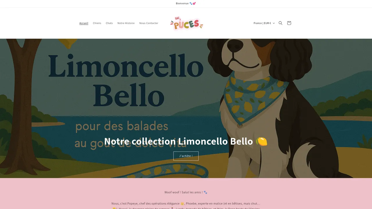 Screenshot de Sac à puces