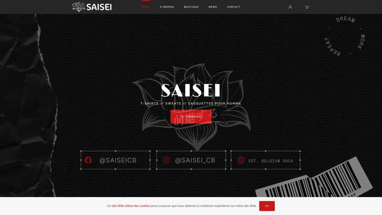 Aperçu du site SAISEI