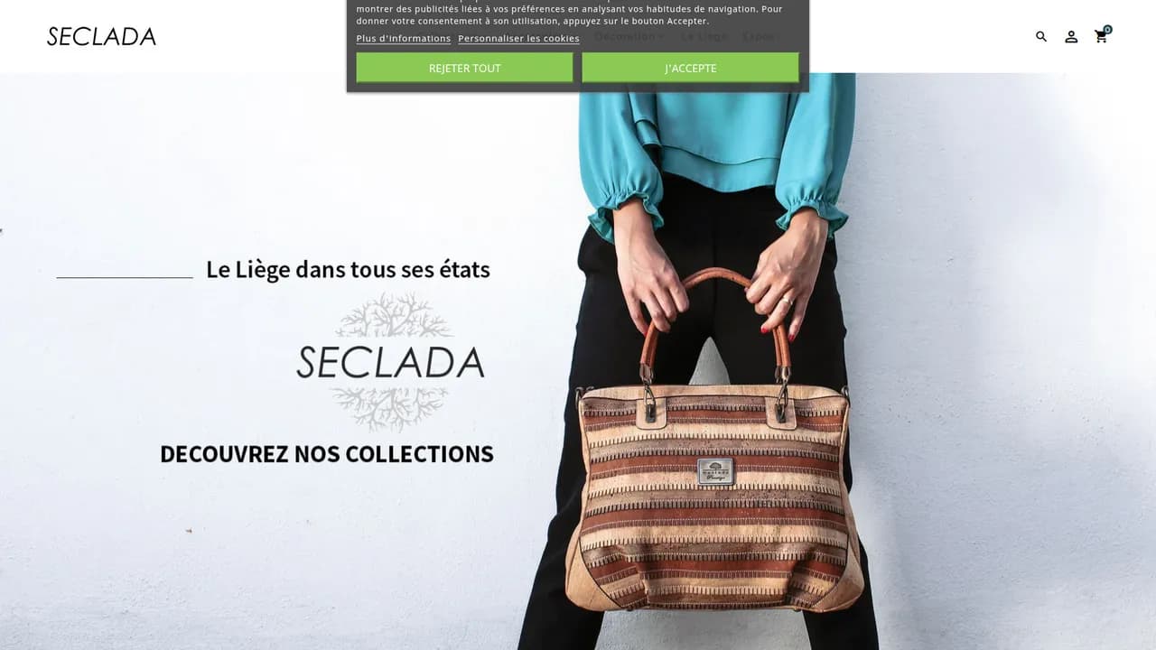 Aperçu du site Seclada