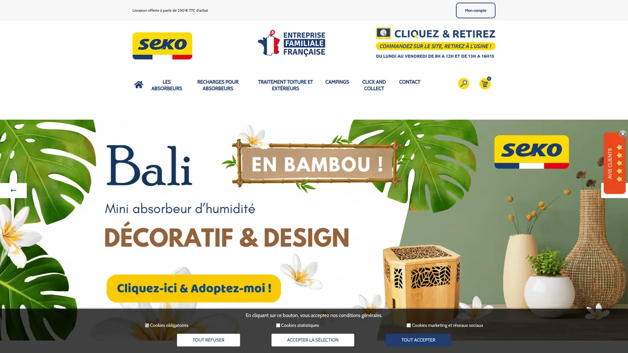 Aperçu du site SEKO
