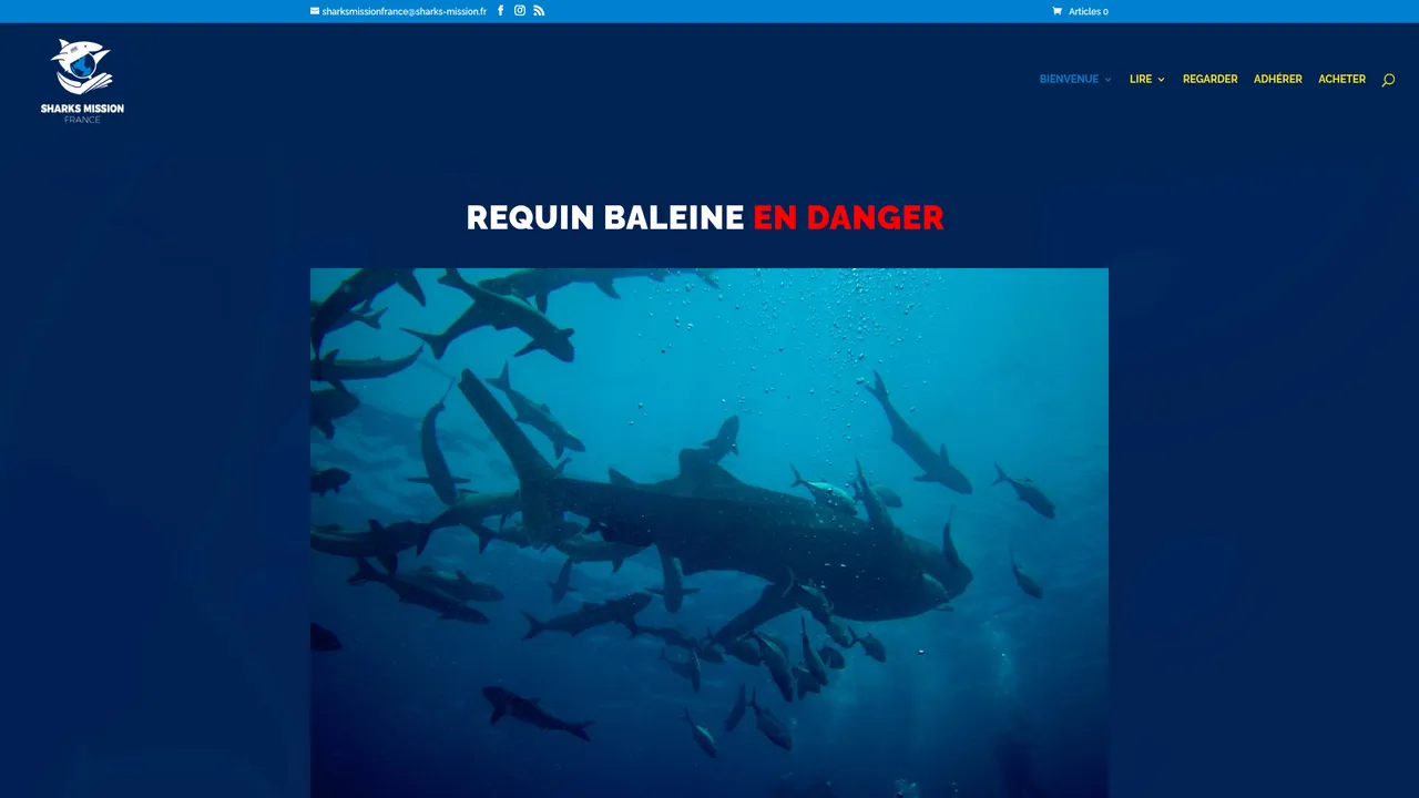 Screenshot de Sharks Mission France