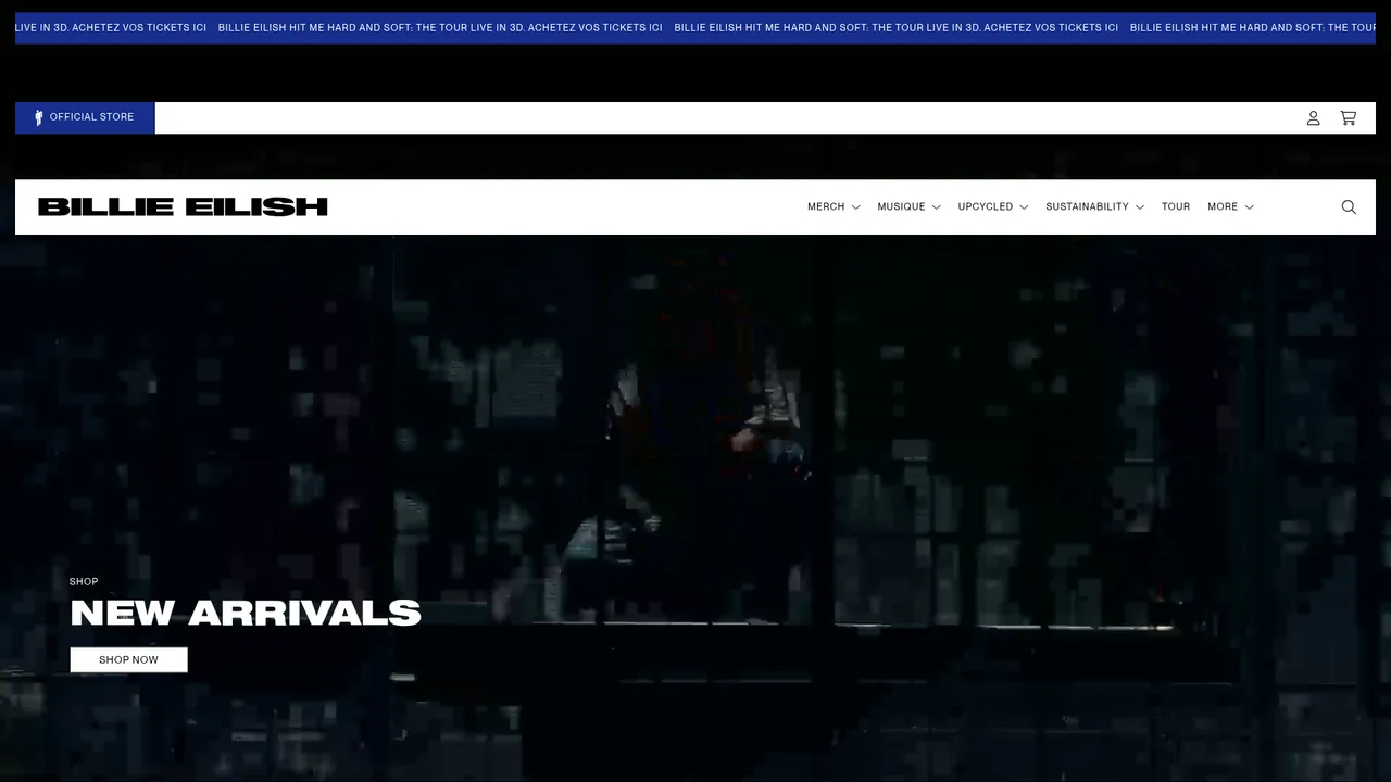 Screenshot de shopfrbillieeilish.com