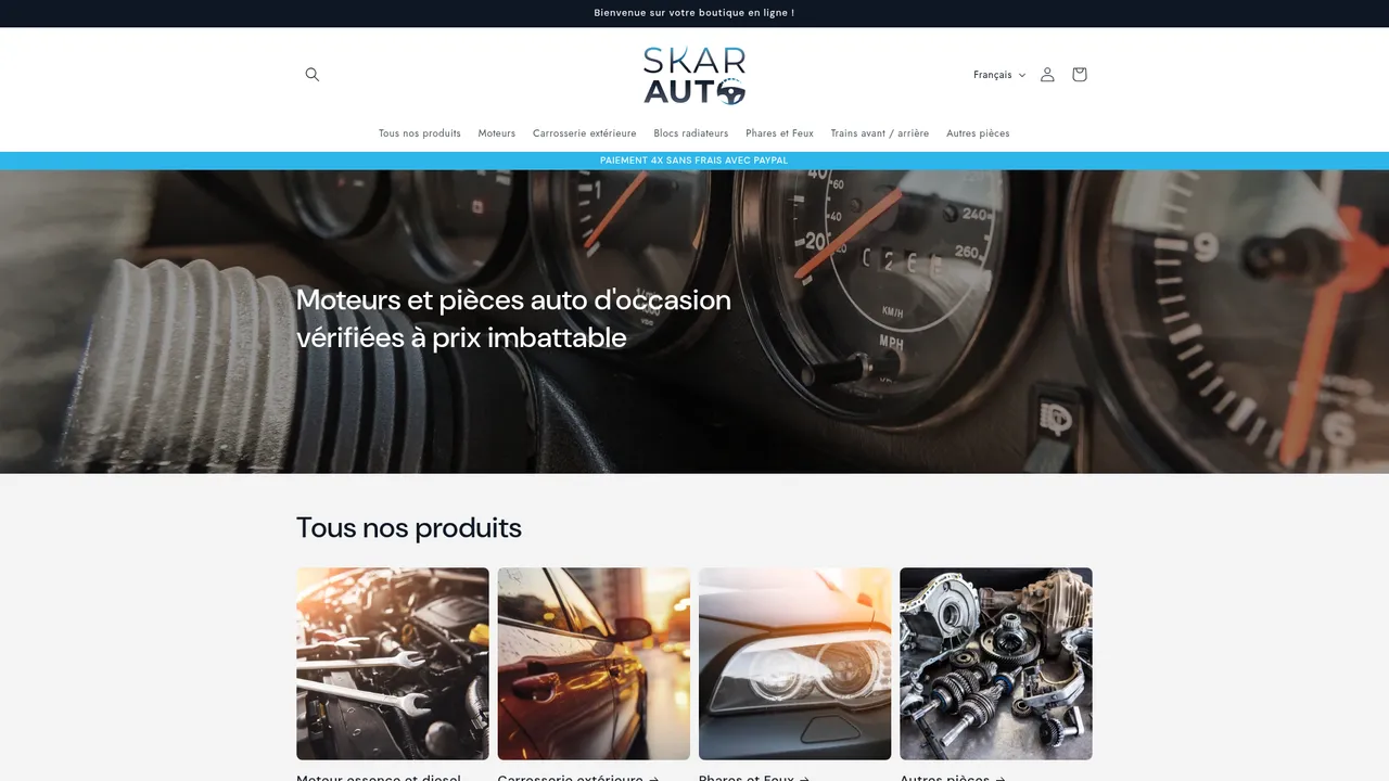 Aperçu du site skarauto.fr