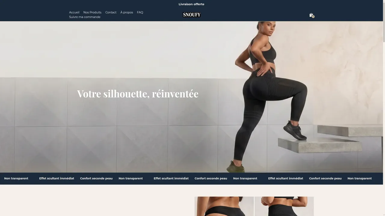 Aperçu du site Snoufy