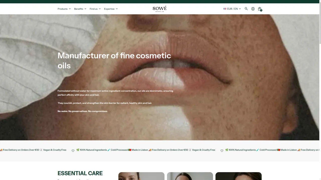 Aperçu du site Sowelab