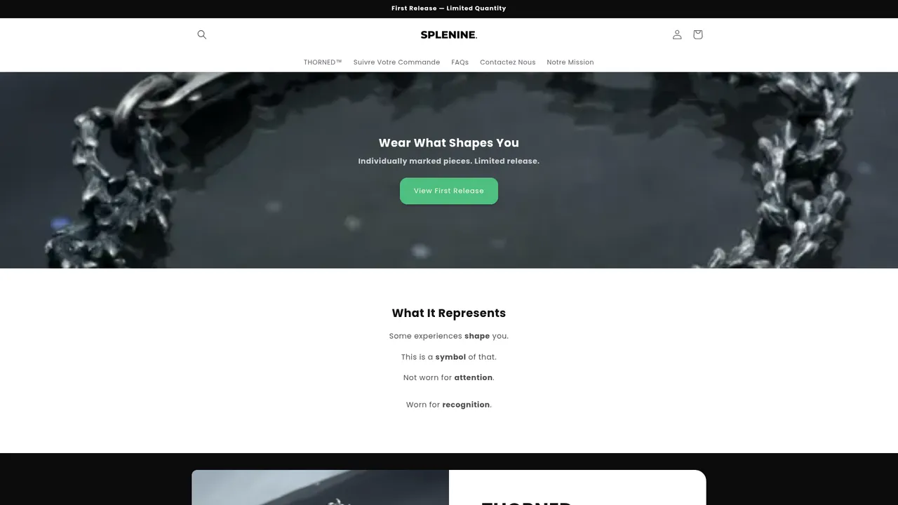 Aperçu du site splenine.com