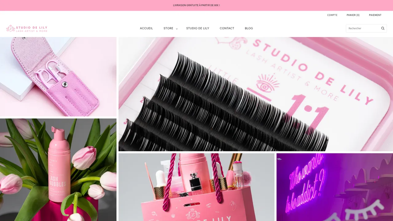 Aperçu du site studiodelilystore.com