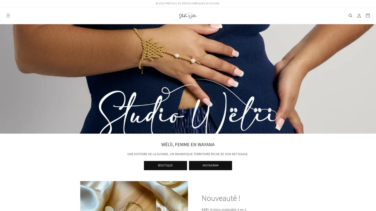 Screenshot de studiowelii.com