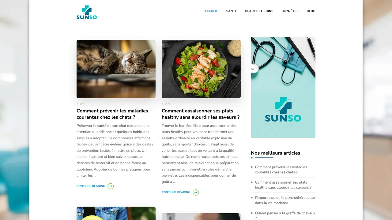 Aperçu du site SUNSO, chaîne de SPA en île-de-france