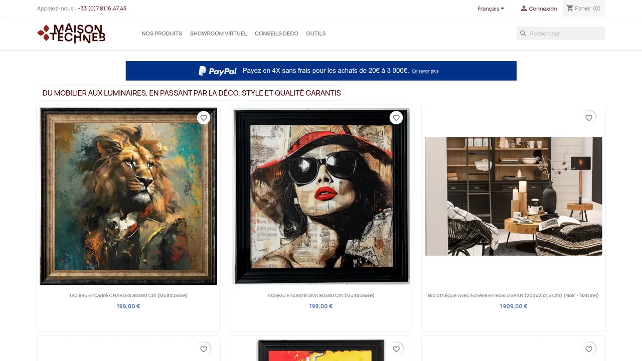 Aperçu du site Techneb Shop