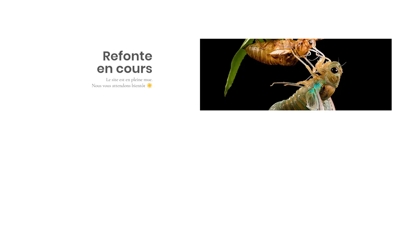 Screenshot de Terrapodia