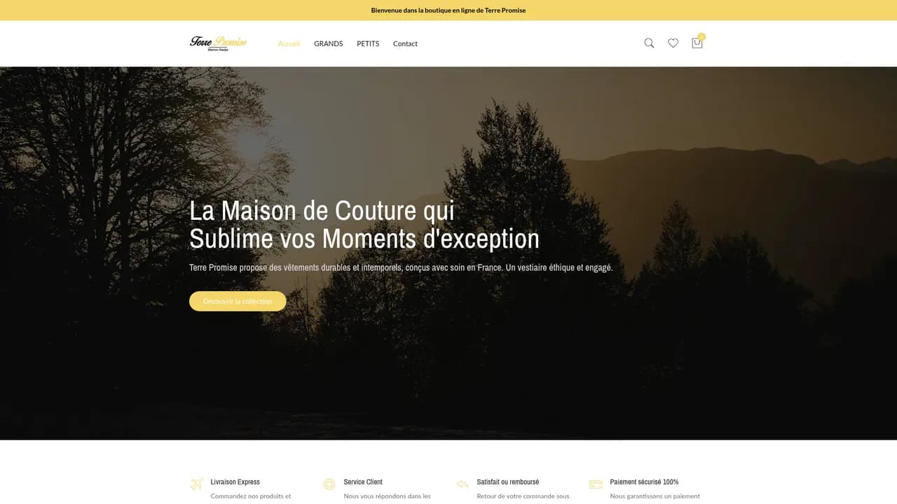 Aperçu du site terre-promise.net