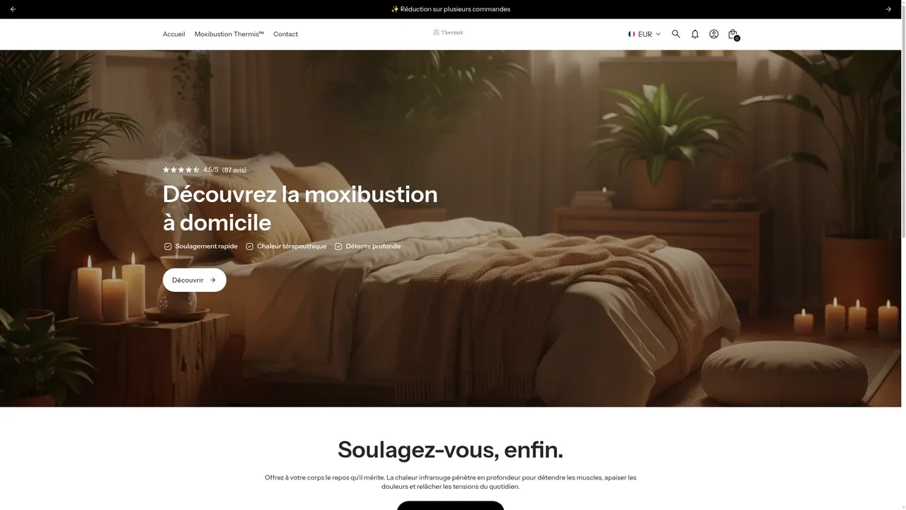 Aperçu du site Thermis
