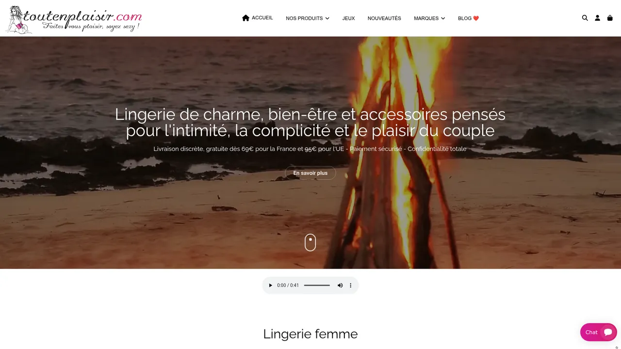 Aperçu du site ToutEnPlaisir.com