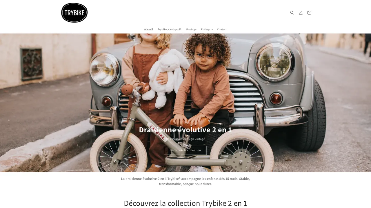 Aperçu du site Trybike France
