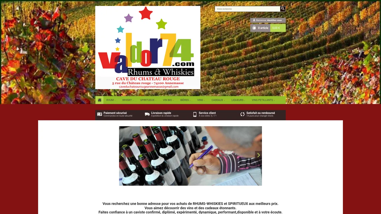 Aperçu du site valdor74