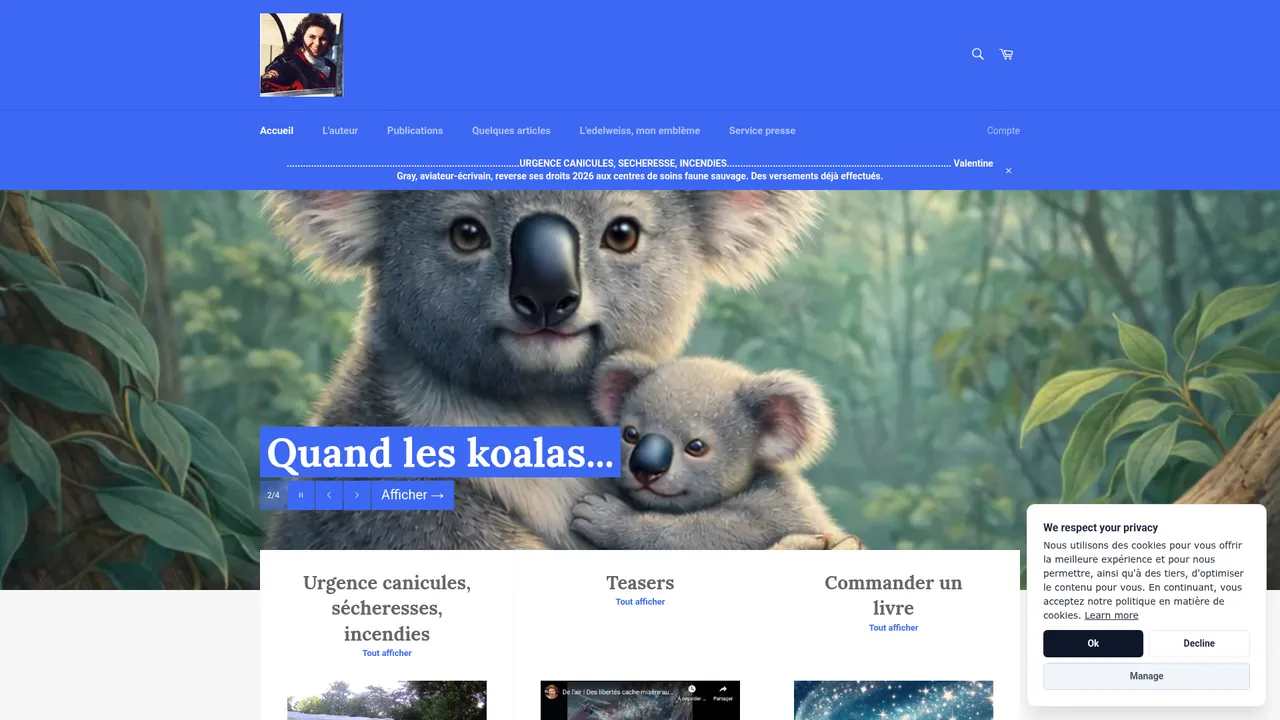 Screenshot de Valentine Gray écrivain site officiel