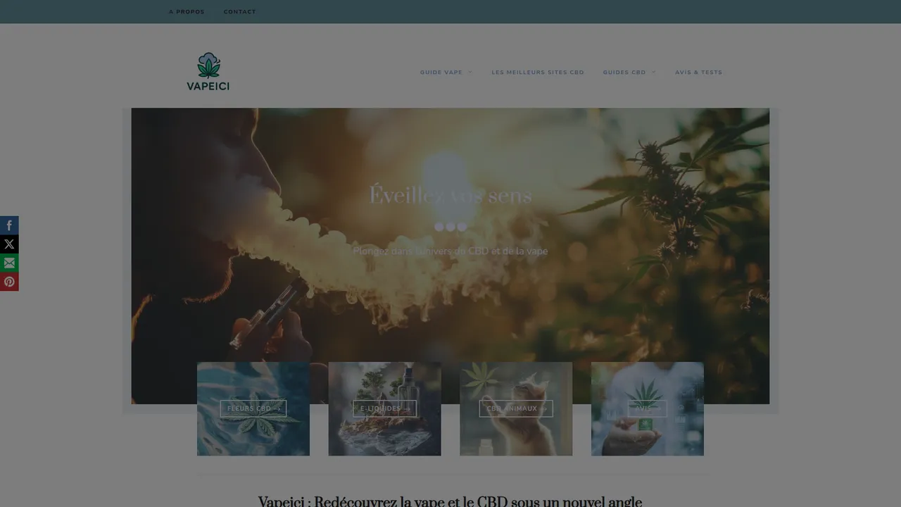 Aperçu du site Vape ici