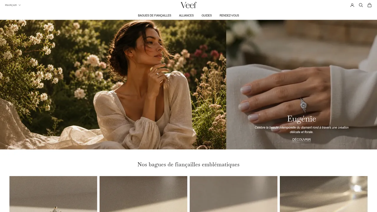 Aperçu du site Veef