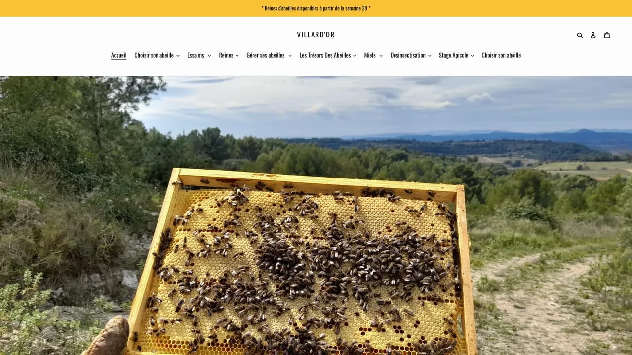 Screenshot de Villard'or