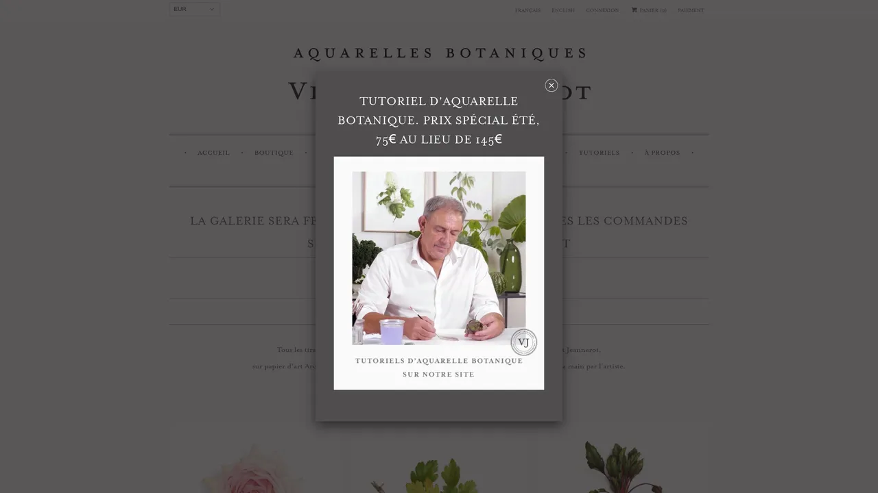 Screenshot de vincent-jeannerot.fr