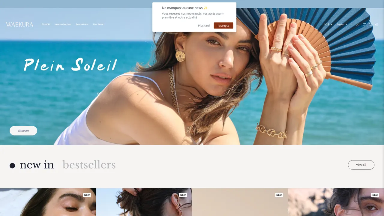 Aperçu du site waekura