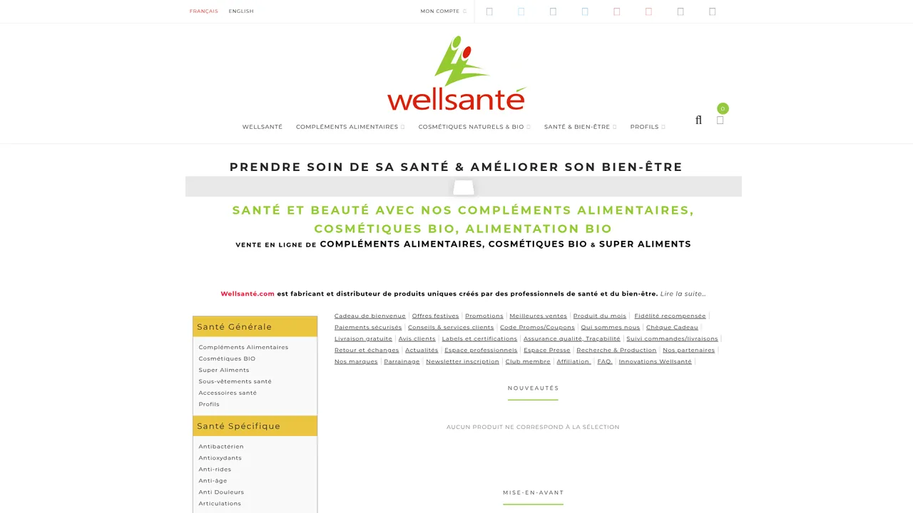 Aperçu du site wellsanté