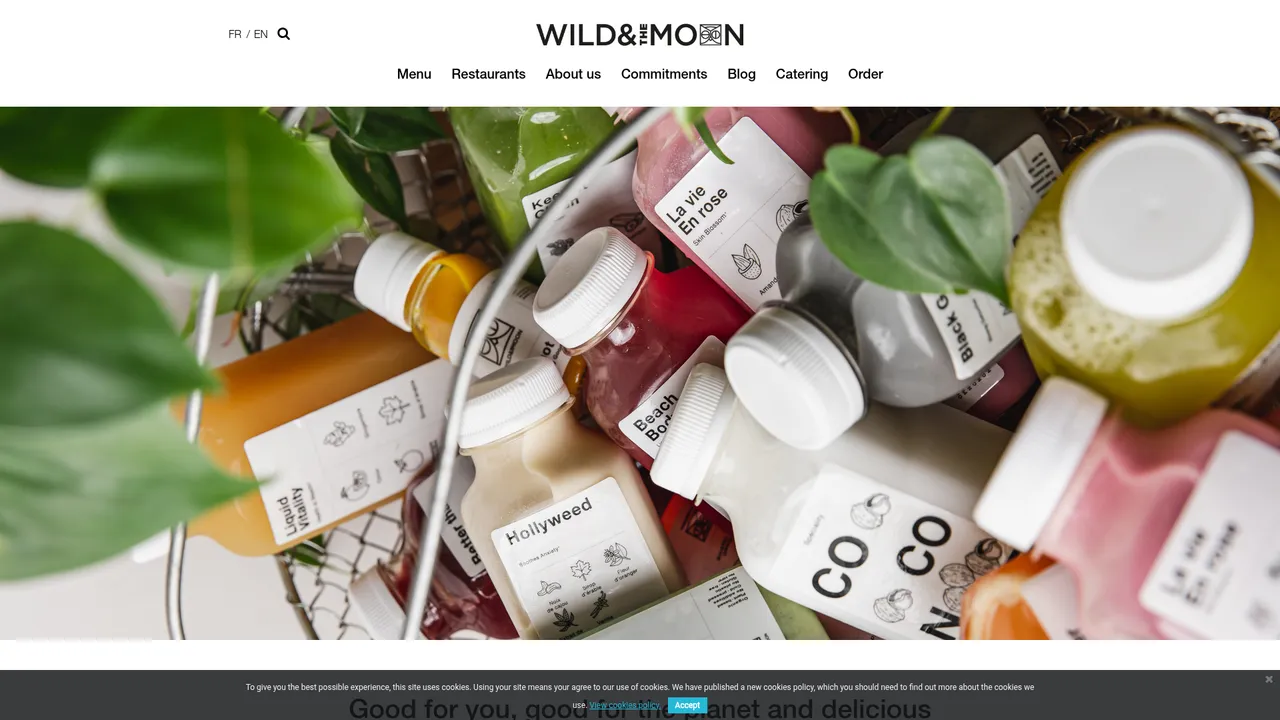 Screenshot de Wild & The Moon