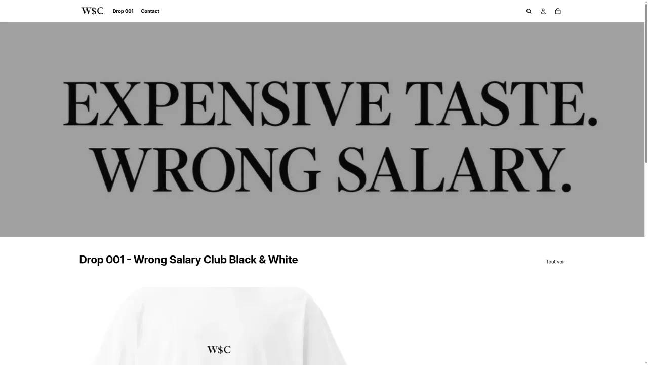 Aperçu du site wrongsalaryclub.com
