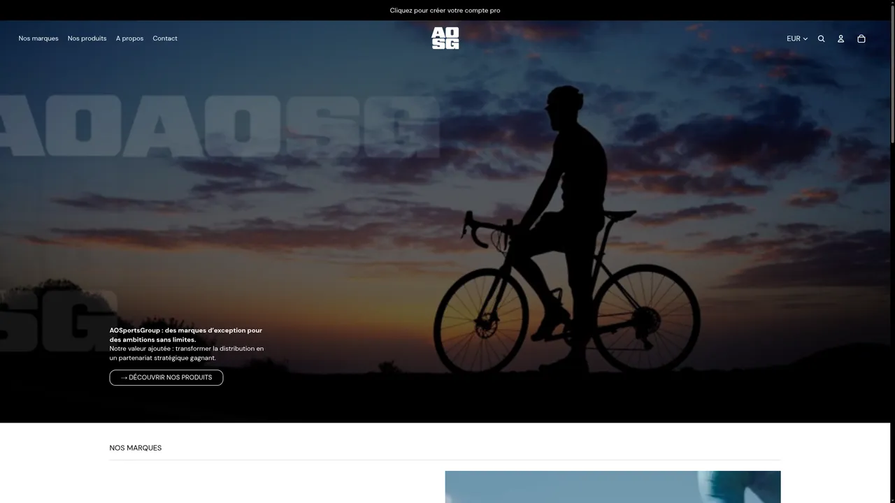 Screenshot de www.aosportsgroup.fr