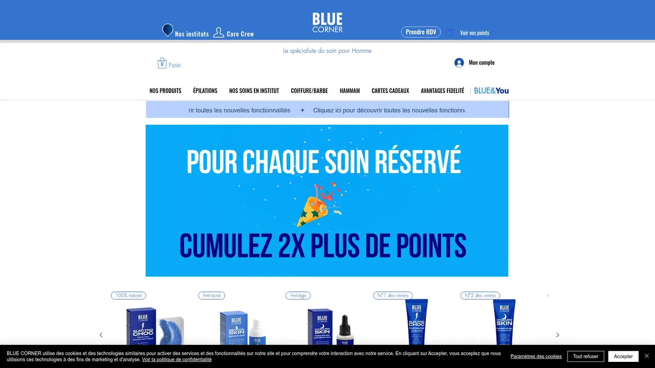 Aperçu du site www.bluecorner-institut.com