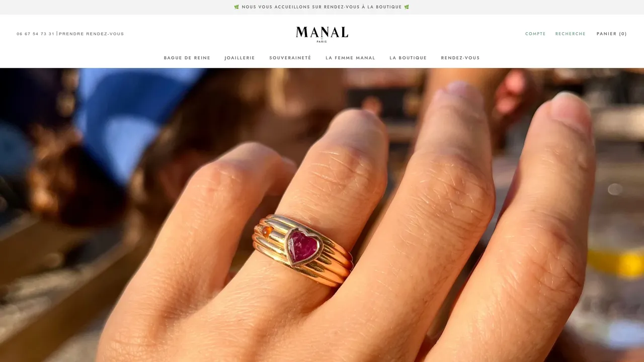 Aperçu du site www.manalparis.com
