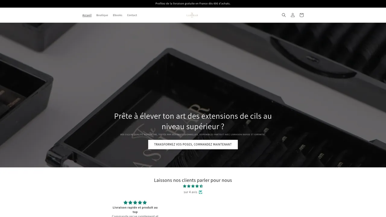 Aperçu du site www.thelashbar-paris.com