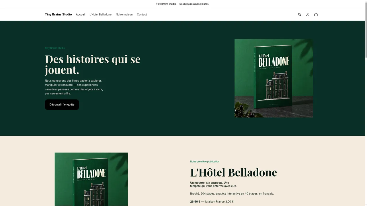 Screenshot de www.tinybrainsstudio.com