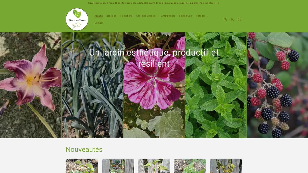 Screenshot de www.vivacesdesdomes.fr